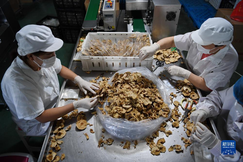 彩娱乐平台登录